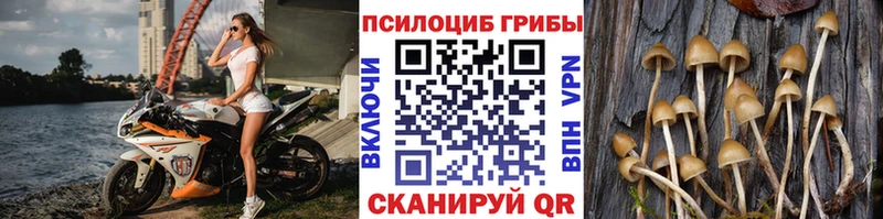 Галлюциногенные грибы мухоморы  где продают наркотики  omg ONION  Гай 